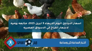 أسعار الدواجن اليوم الأربعاء 9 أبريل 2025: متابعة يومية لأسعار الفراخ في الأسواق المصرية